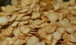 党参相克食物有哪些 党参相克食物有哪些呢