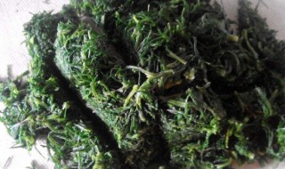 风滚草怎么吃食用方法有哪些（风滚草的用途）