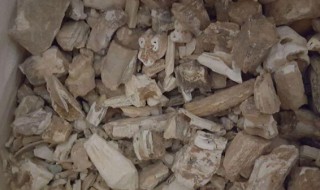 煅龙齿的功效与作用（煅龙齿的功效与作用与副作用）