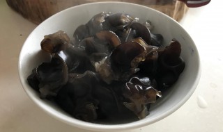 黑木耳露的做法步骤（黑木耳作法）
