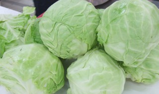 包菜粉丝煲做法步骤（包菜粉丝汤的家常做法大全）