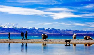 西藏十大最佳旅游景点（西藏十大最佳旅游景点宣传图片高清）
