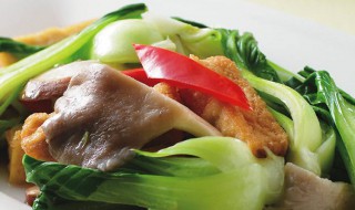 双菇青江菜炒豆腐的做法（青菜炒双菇怎么做好吃?窍门）