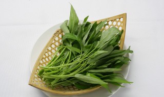 空心菜是什么菜（空心菜是什么菜,别名）