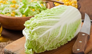 猪肉白菜怎么做（猪肉白菜怎么做饺子好吃）