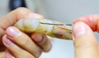 简单去虾线方法（如何去虾线图解法窍门）
