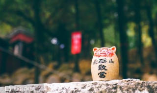 爬泰山需要多长时间（爬泰山需要多长时间爬到山顶）