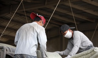 怎样选择防尘口罩（怎样选择防尘口罩的材质）