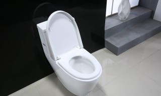 虹吸式马桶回气孔清理（虹吸马桶气孔在哪）