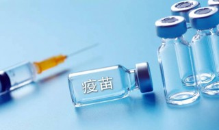 6种一定要打的自费疫苗（6种一定要打的自费疫苗有哪些?）