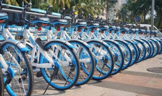 哈啰出行介绍 哈啰出行介绍怎么写