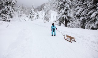 化雪的方法有哪些呢 化雪最快的方法无污染