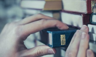 兰台是什么意思（三尺兰台是什么意思）