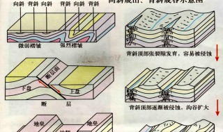 地质构造的基本类型有哪些 地质构造的基本类型有哪四种类型?