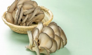 清洗后鸡枞菌保存方法