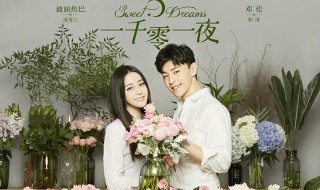 一千零一夜大结局是什么（一千零一夜大结局是什么样的）