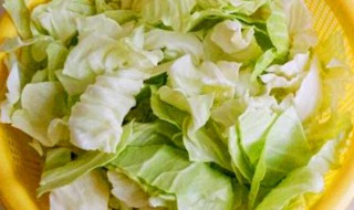 腌包菜的腌制方法和配料,放不放葱 腌包菜的腌制方法