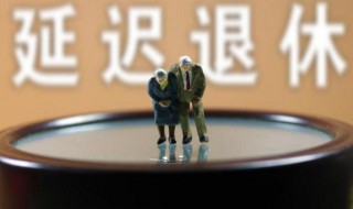延迟退休什么时候开始实行 延迟退休什么时候开始实行(人社官网