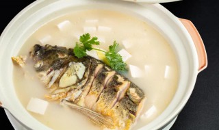 炖鱼和萝卜怎么做