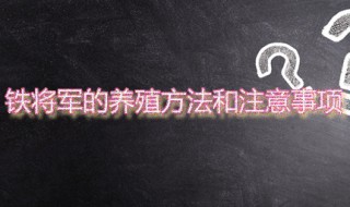 铁将军的功效与作用 铁将军的养殖方法和注意事项