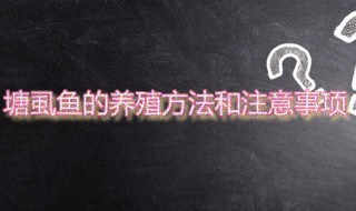 塘虱鱼的养殖方法和注意事项 塘虱鱼的养殖方法和注意事项视频