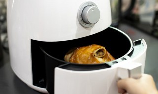 空气炸锅烤鸡（空气炸锅烤鸡要多少温度多少时间）