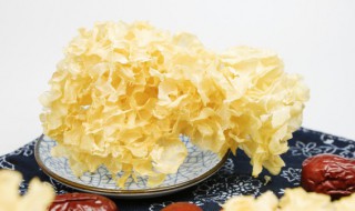 银耳需要泡多久? 银耳需要泡多久才能炒菜