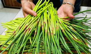 蒜苔怎么抽不断 蒜苔怎么抽不断?