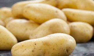 春天怎么防止土豆发芽 春天怎么防止土豆发芽的方法