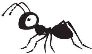 怎么防止蚂蚁进入家里 怎么防止蚂蚁进入家里呢