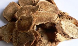 木香的功效和作用及木香的禁忌食用方法 木香的功效作用及木香的禁忌食用方法是什么