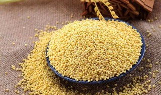 吃大黄米的好处和坏处 大黄米和小黄米哪个营养好
