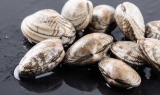 花甲内脏黑东西能吃吗（花甲肚子里的黑东西是不是屎）