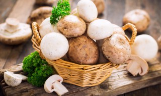 炸蘑菇为什么挂不住淀粉 为什么炸蘑菇挂不上糊