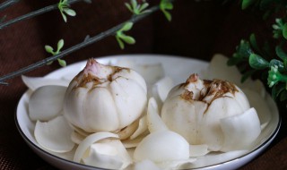 食用百合花的样子是什么样的（食用百合的花朵）