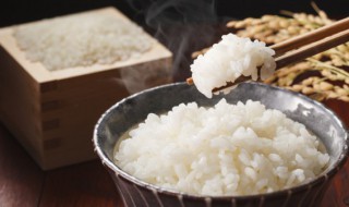 米饭拉丝还能吃吗 米饭拉丝还能吃吗 刚放一晚上