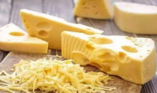 干酪如何保存 干酪怎样保存