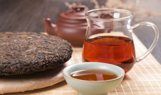大邑普洱茶有哪些功效和作用（大邑普洱茶有哪些功效和作用及禁忌）