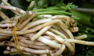 鱼腥草宝宝能吃吗 鱼腥草宝宝可以吃吗