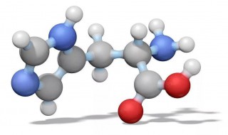 氨基酸的功效和作用 氨基酸的功效和作用有哪些800-1000字