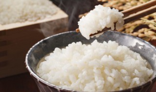 过夜的米饭还能不能吃 过夜的米饭能不能吃如果不放冰箱的话