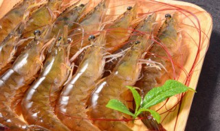 海虾和河虾怎么区别 海水虾和淡水虾的区别图片