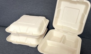 一次性餐盒属于可回收垃圾吗 一次性餐盒属于可回收垃圾吗对吗