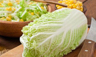 冬天保存白菜方法（冬天如何保存白菜）