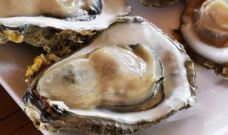 海蛎子怎么开壳 海蛎子怎么开壳不用刀