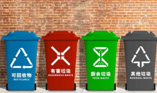 花生瓜子壳属于什么垃圾分类（花生壳瓜子壳属于厨余垃圾吗）
