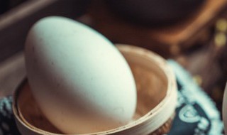 鹅蛋的药用价值 第一个鹅蛋的药用价值