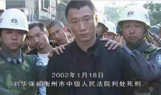 征服电视剧剧情（征服电视剧剧情简介）