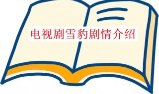 电视剧雪豹剧情（电视剧雪豹剧情简介）