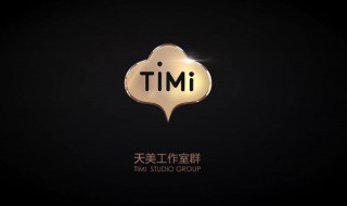 timi是什么意思（踢米是什么意思）